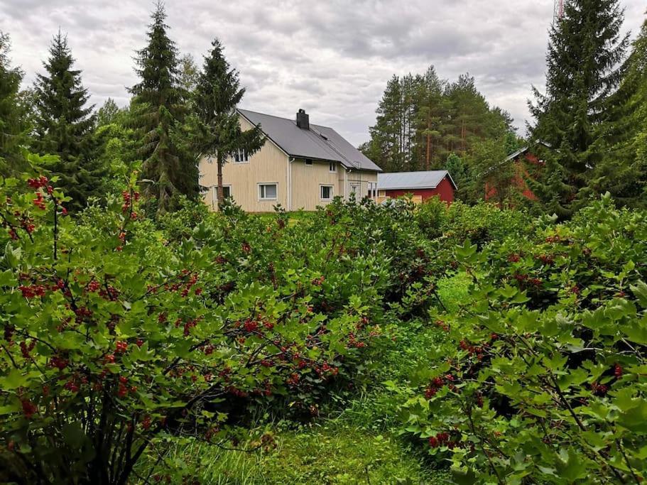 Mukava Mummonmoekki Maaseudun Rauhassa Villa Koivu Exteriör bild