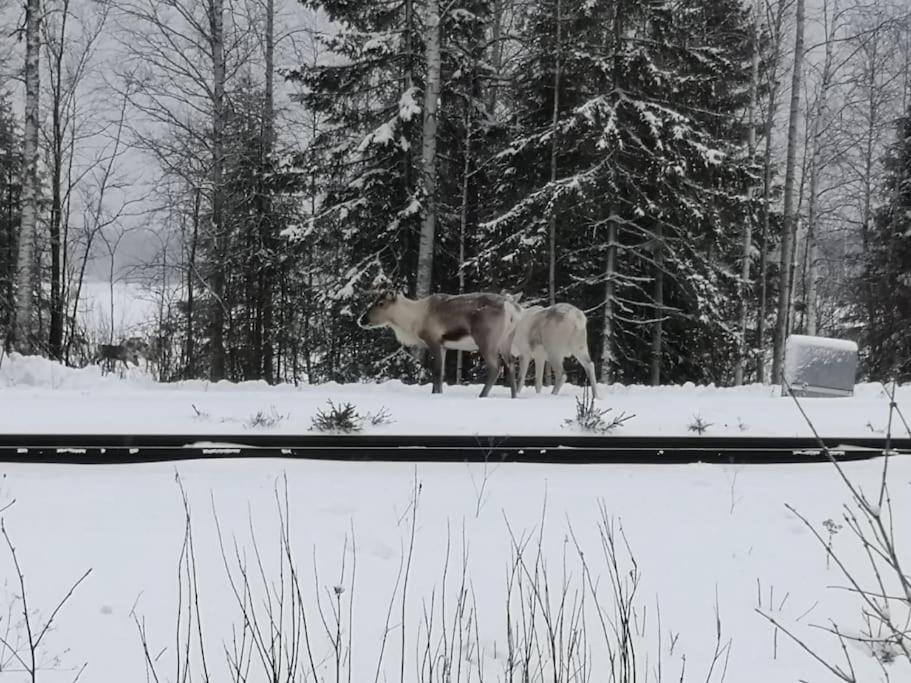 Mukava Mummonmoekki Maaseudun Rauhassa Villa Koivu Exteriör bild