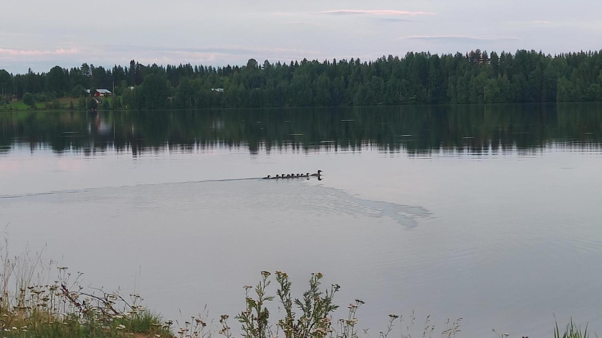 Mukava Mummonmoekki Maaseudun Rauhassa Villa Koivu Exteriör bild