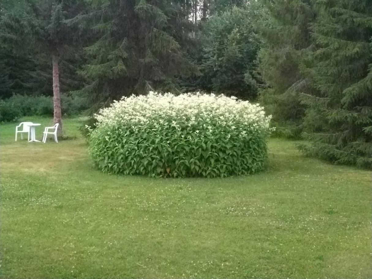 Mukava Mummonmoekki Maaseudun Rauhassa Villa Koivu Exteriör bild